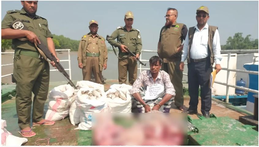 ৪৮ কেজি হরিণের মাংসসহ ১ শিকারি গ্রেপ্তার